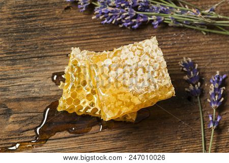 Honeycomb With Uncapping Fork - Honey Harvest