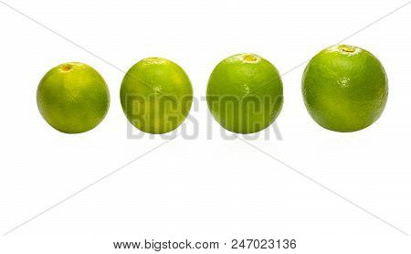 Half Of Lime Citrus Fruit (lime Cut) Isolated On White Background. Sliced Lime Half With Clipping Pa
