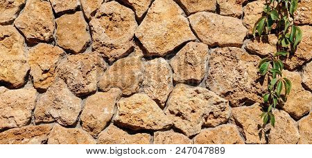 Old Stone Wall With Ivy As Background. Decorative Facing Of The Outer Walls Of The House. Wide Photo