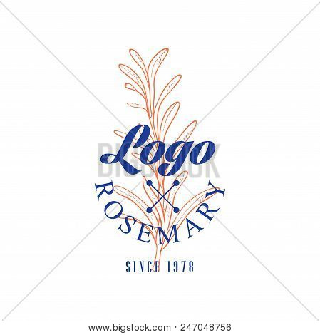 Rosemary Logo Since 1978, Culinary Spicy Herb Retro Emblem Vector Illustration Isolated On A White B