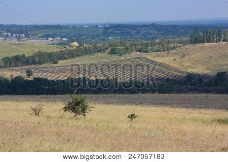 Steppe Landscape, A Village In The Forest-steppe Area