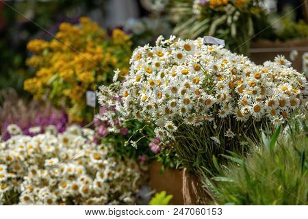 Riga, Latvia. Bouquets With Different Summer Flowers On The Ligo Holiday Market.