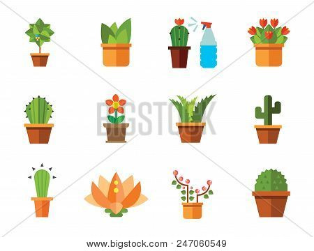 Flowers Vector Icons Set With Aloe In Pot, Tulip And Cactus In Pot. Thirteen Flat Icons