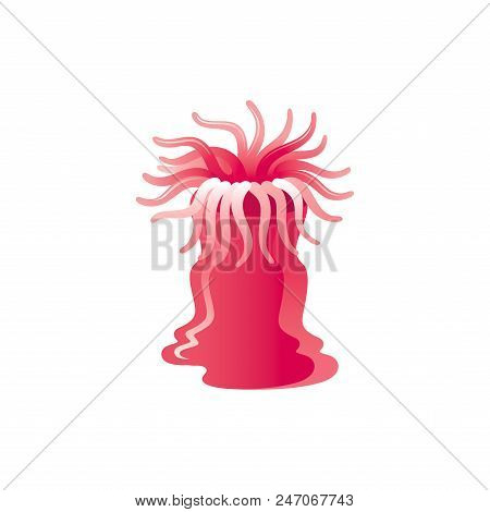 Vector Illustration Eps10, Isolated On White Background. Realistic Sea Animal Symbol, 3d Anemones. T