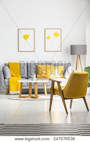 Posters With Yellow Flowers Hanging Above A Gray Couch In Bright Living Room Interior With Retro Arm