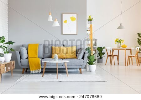 Orange Blanket On Grey Sofa In Modern Apartment Interior With Poster And Wooden Table. Real Photo