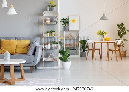 Orange Pillows On Grey Settee In Spacious Flat Interior With Chairs At Wooden Table. Real Photo
