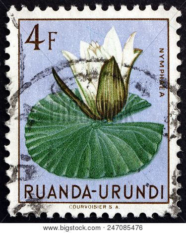Ruanda-urundi - Circa 1953: A Stamp Printed In Ruanda-urundi Shows Nymphaea, Aquatic Flowering Plant