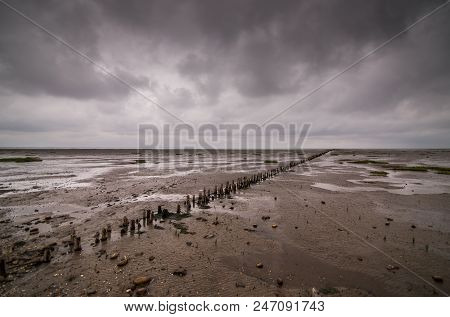 Danish Wadden Sea On Cloudy Day