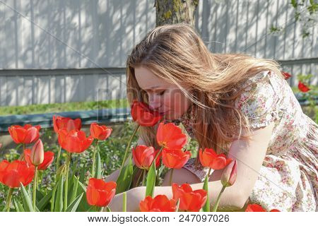 Girl Sniffing Tulips. The Girl Among The Flowers