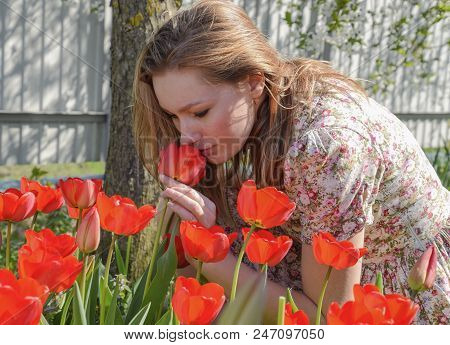 Girl Sniffing Tulips. The Girl Among The Flowers