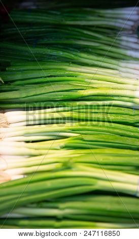Stack Of Green Onions In The Market