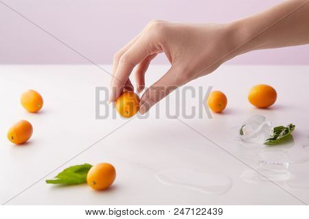 Cropped Image Of Woman Holding Kumquat Over Table With Mint Leaves, Ice Cubes And Kumquats On Purple