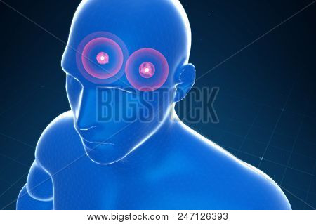 Almond-shaped Body In The Brain Emitting Fear, Panic, Anxiety