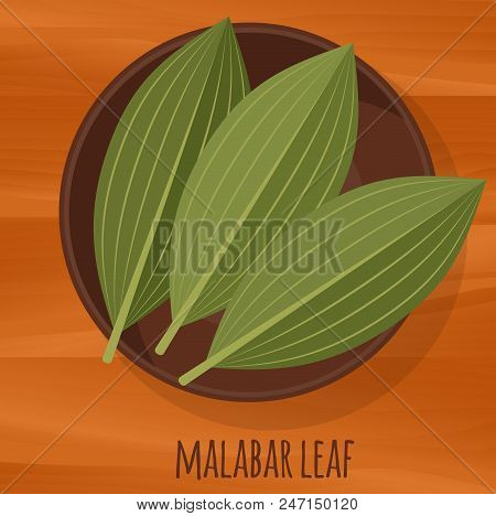 Malabar Cassia Leaf Flat Design Vector Icon. Flavor Spices And Herbs Menu Template Collection.