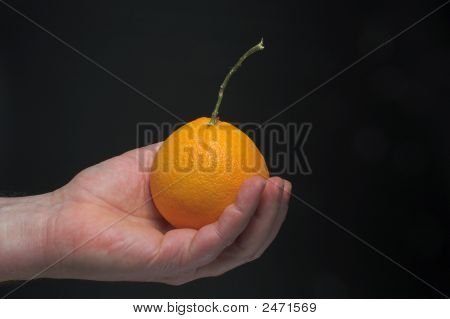 Gospodarstwa pomarańczowy