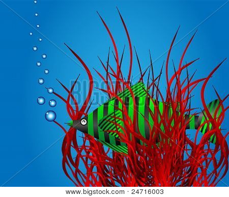 Sea life
