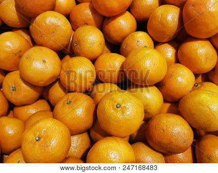 Mandarin Orange With Packaging For Market Place
