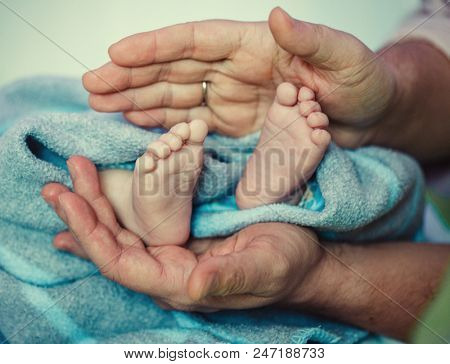 Baby feet in father hands. Ded or grendfather, grendmather and Child. Feet under the protection of the palms. Happy Family concept, conceptual image of maternity