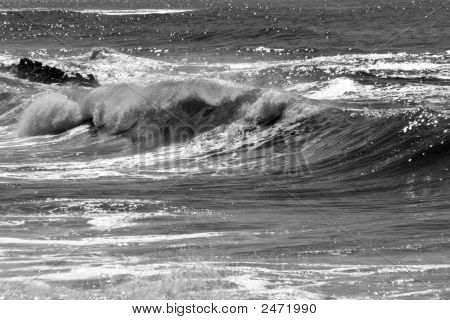 Dalga 1006 Bw