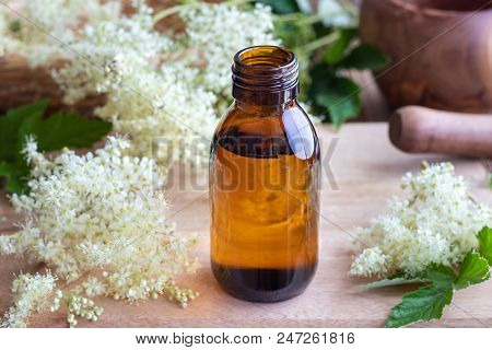 Homemade Meadowsweet Tincture With Fresh Blooming Plant