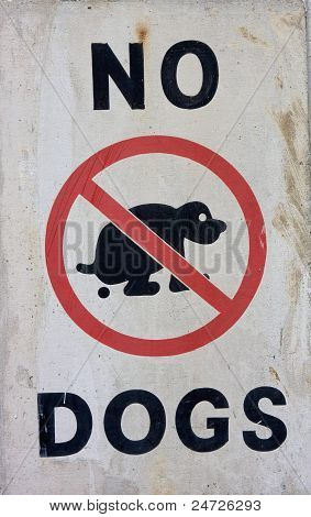 No psy znak
