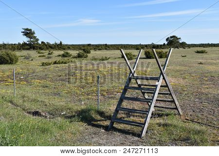 Wooden Stile In The Unique Landscape, Great Alvar Plain, At The Swedish Island Oland