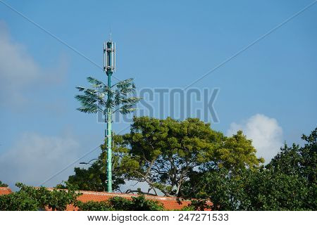 Cellular Tower Among The Trees On The Island.