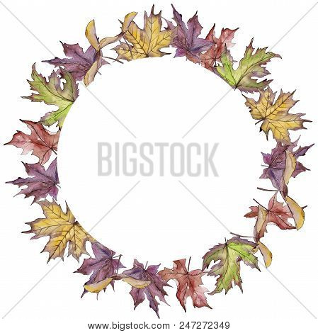Maple Leaves In A Watercolor Style Isolated. Frame Border Ornament Square. Aquarelle Leaf For Backgr