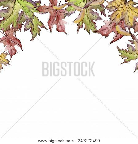 Maple Leaves In A Watercolor Style Isolated. Frame Border Ornament Square. Aquarelle Leaf For Backgr