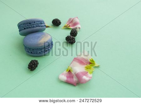 Sweet French Macaroons Flower Petals And Berriens On Pastel Turquoise Background With Text Space.