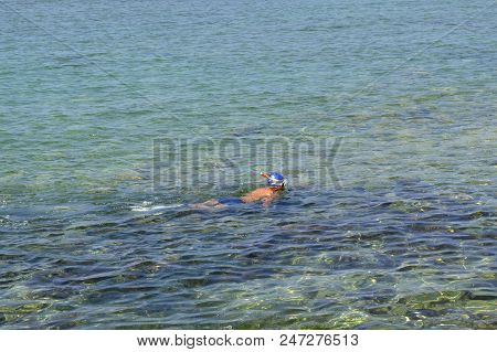A Man Snorking In Paphos Harbour In Cyprus