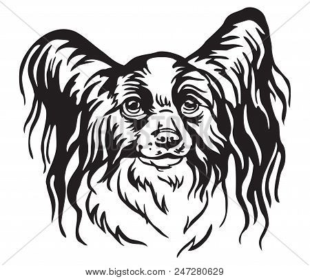 Decorative Portrait Of Papillon Dog, Vector Isolated Illustration In Black Color On White Background
