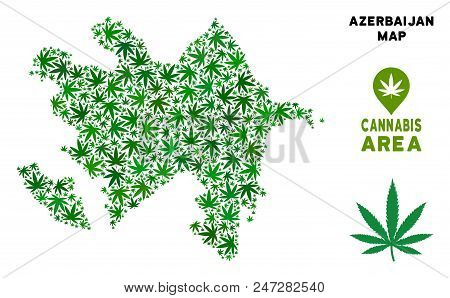 Ganja Azerbaijan Map Collage Of Marijuana Leaves. Narcotic Dependence Concept. Vector Azerbaijan Map