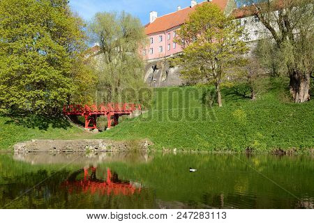 Red Footbridge By Snelli Tiik Pond In Tallinn, Estonia