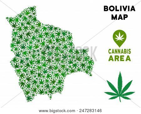 Weed Bolivia Map Mosaic Of Marijuana Leaves. Narcotic Distribution Template. Vector Bolivia Map Is M