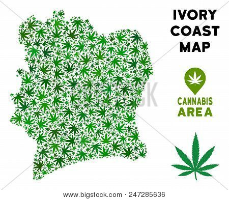 Weed Ivory Coast Map Mosaic Of Marijuana Leaves. Narcotic Distribution Template. Vector Ivory Coast 