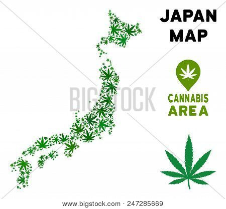 Weed Japan Map Composition Of Marijuana Leaves. Narcotic Distribution Concept. Vector Japan Map Is C