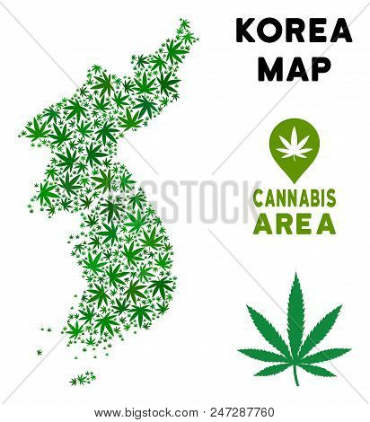 Weed North And South Korea Map Collage Of Marijuana Leaves. Narcotic Distribution Concept. Vector No