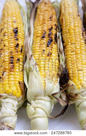 Delicious Grilled Corn On The Cob, Close-up.