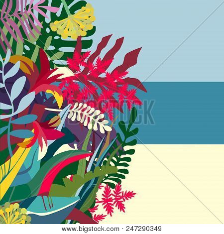 Illustration Of Am Ocean Coast With Tropical Flora