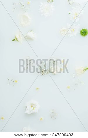 Top View Of Beautiful White And Green Chrysanthemum Flowers And Gypsophila In Milk
