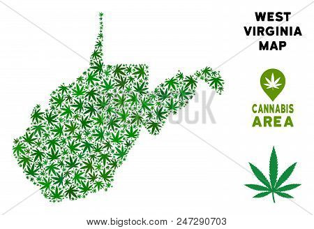 Weed West Virginia State Map Mosaic Of Marijuana Leaves. Narcotic Distribution Concept. Vector West 