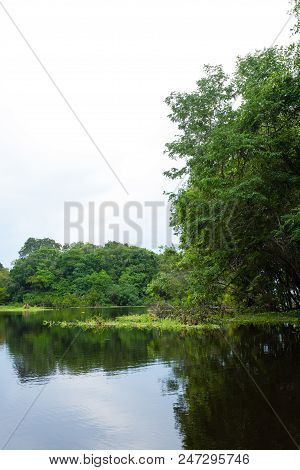 Panorama From Amazon Rainforest, Brazilian Wetland Region. Navigable Lagoon. South America Landmark.