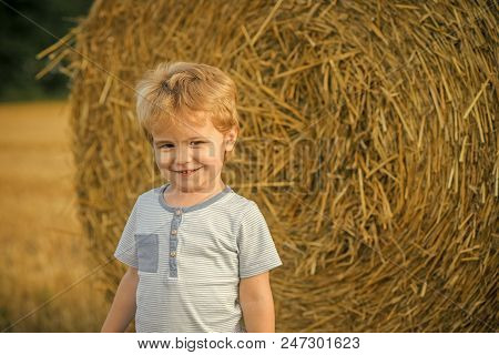 Child Is In The Hayloft. Little Boy Smile At Hay Bale, Summer. Child Play On Farm Or Ranch Field, Va