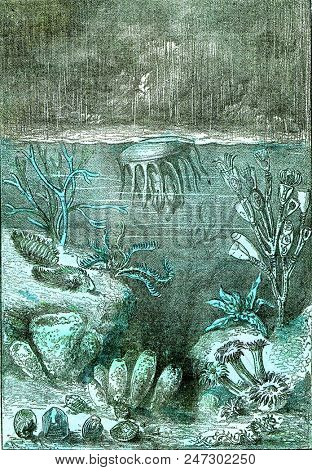 Ideal view of the land and the seas at the beginning of the Silurian period