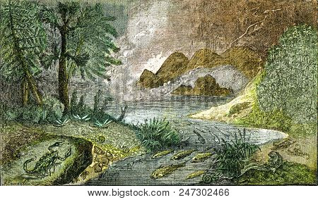 Settlement of the mainland and fresh waters at the Permian period, vintage engraved illustration. From Natural Creation and Living Beings.