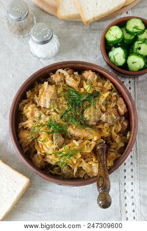 A Traditional Dish Of Some European Countries Is Bigos Made From Cabbage, Other Vegetables And Meat.