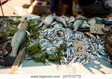 Fresh Fish At The Summer Market On Sale