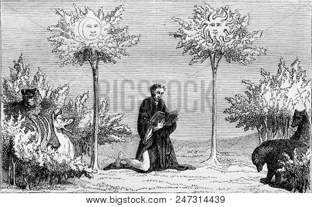 The Tree of the Sun and the Tree of the Moon, Miniature of the Book of Wonders, vintage engraved illustration. Magasin Pittoresque 1855.